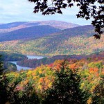 Greene County Radon Test Statistics