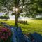 Dutchess County Radon Testing Data